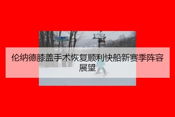 lun-na-de-xi-gai-shou-shu-hui-fu-shun-li-kuai-chuan-xin-sai-ji-zhen-rong-zhan-wang-2-882.jpg