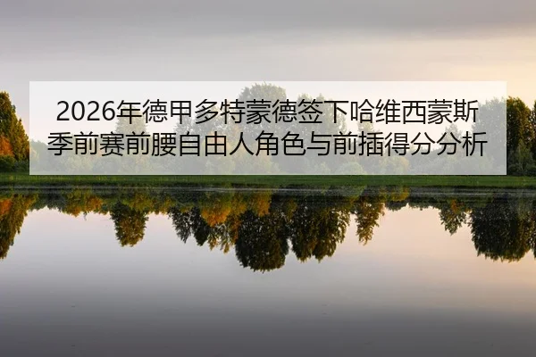 nian-de-jia-duo-te-meng-de-qian-xia-ha-wei-xi-meng-si-ji-qian-sai-qian-yao-zi-you-ren-jue-se-yu-qian-cha-de-fen-fen-xi-3-514.jpg