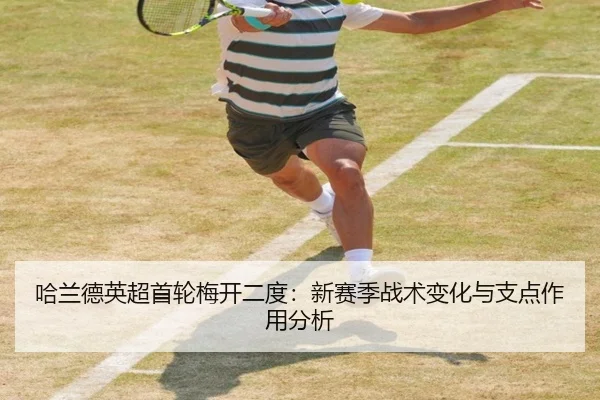 ha-lan-de-ying-chao-shou-lun-mei-kai-er-du-xin-sai-ji-zhan-shu-bian-hua-yu-zhi-dian-zuo-yong-fen-xi-3-676.jpg